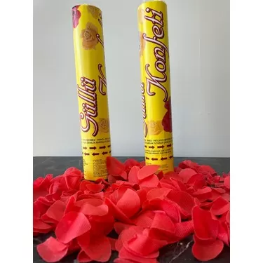 Cinsiyet Partisi Nasıl Olur? En Eğlenceli Organizasyon Rehberi